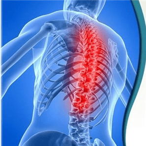 hrbtenična osteohondroza lahko povzročijo različni vzroki